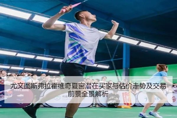 尤文图斯弗拉霍维奇夏窗潜在买家与估价走势及交易前景全景解析